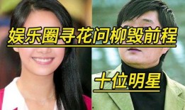 娱乐圈明星丑闻爆料,揭秘不为人知的背后真相